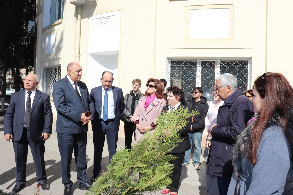 Dendrologiya İnstitutu ətraf mühitin yaşıllaşdırılmasına öz töhfəsini verir