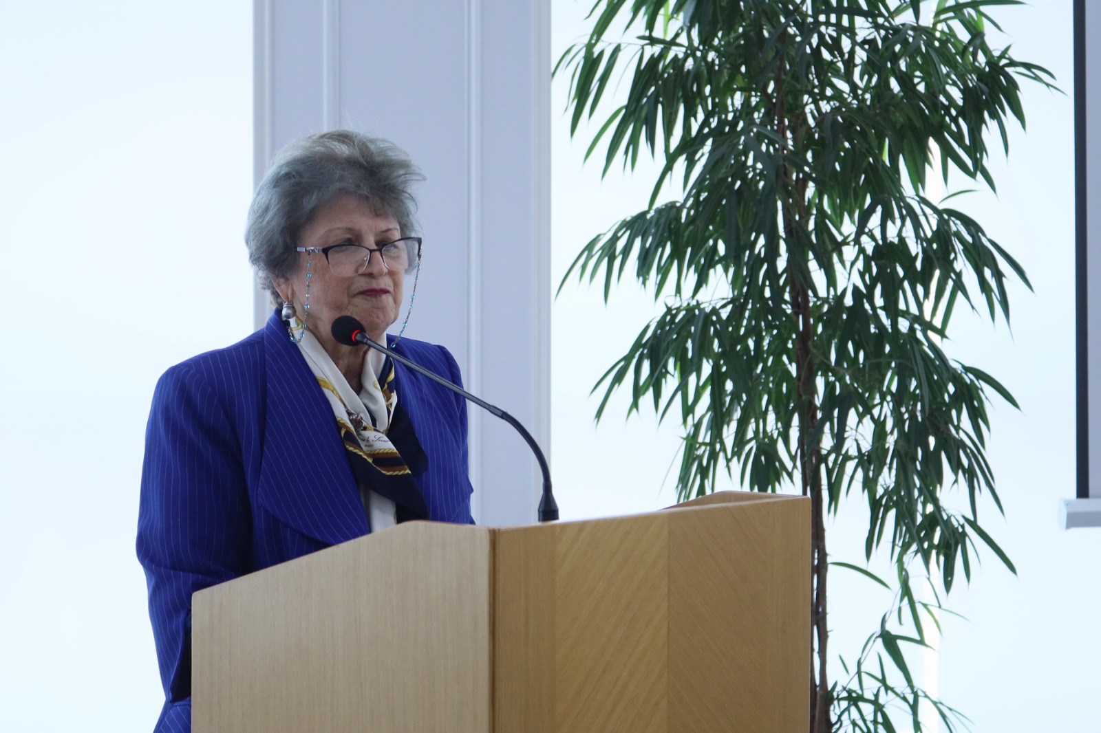 Professor Rəna Mirzəzadə AR Milli Məclisində ictimai dinləmədə çıxış edib