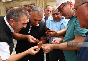 Ölkə ərazisində qurumuş Eldar şamı ağaclarına baxış keçirilir