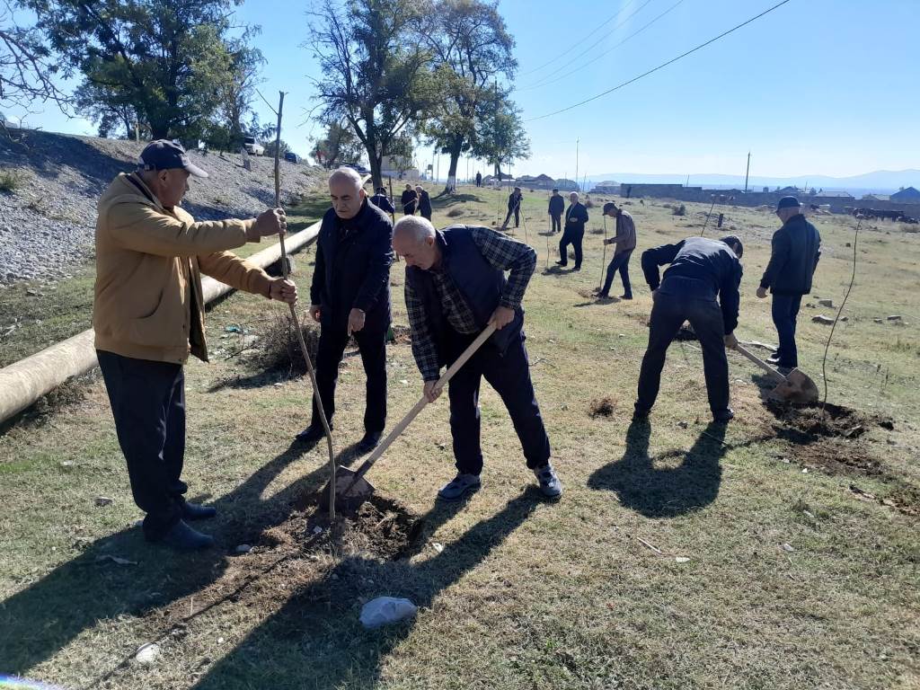 Şəki Regional Elmi Mərkəzinin əməkdaşları ağacəkmə aksiyasında iştirak ediblər