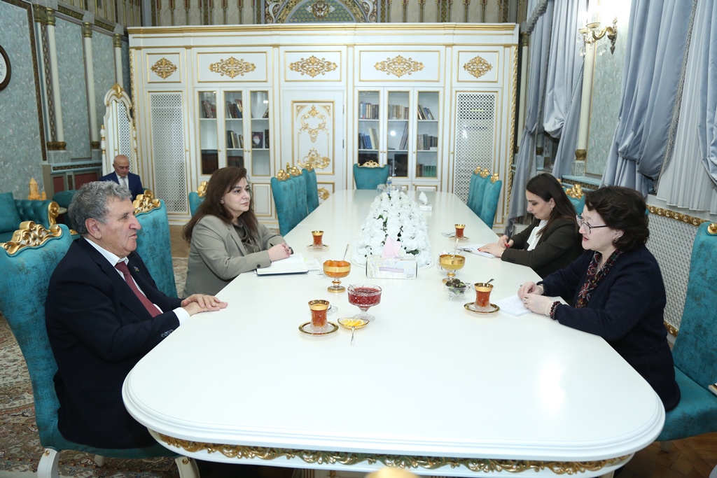 Президент НАНА встретился с руководителем международной организации