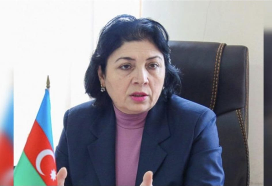 Professor: Dövlət dilindən düzgün istifadə milli məsuliyyət və ictimai mədəniyyət göstəricisi kimi qəbul edilməlidir
