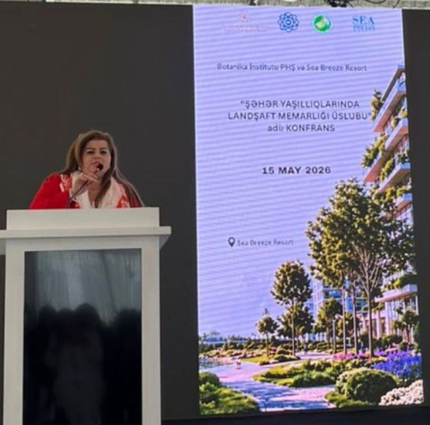 Rəyasət Heyəti aparatının əməkdaşı “Şəhərsalma və Memarlıq İli” çərçivəsində keçirilən konfransda çıxış edib
