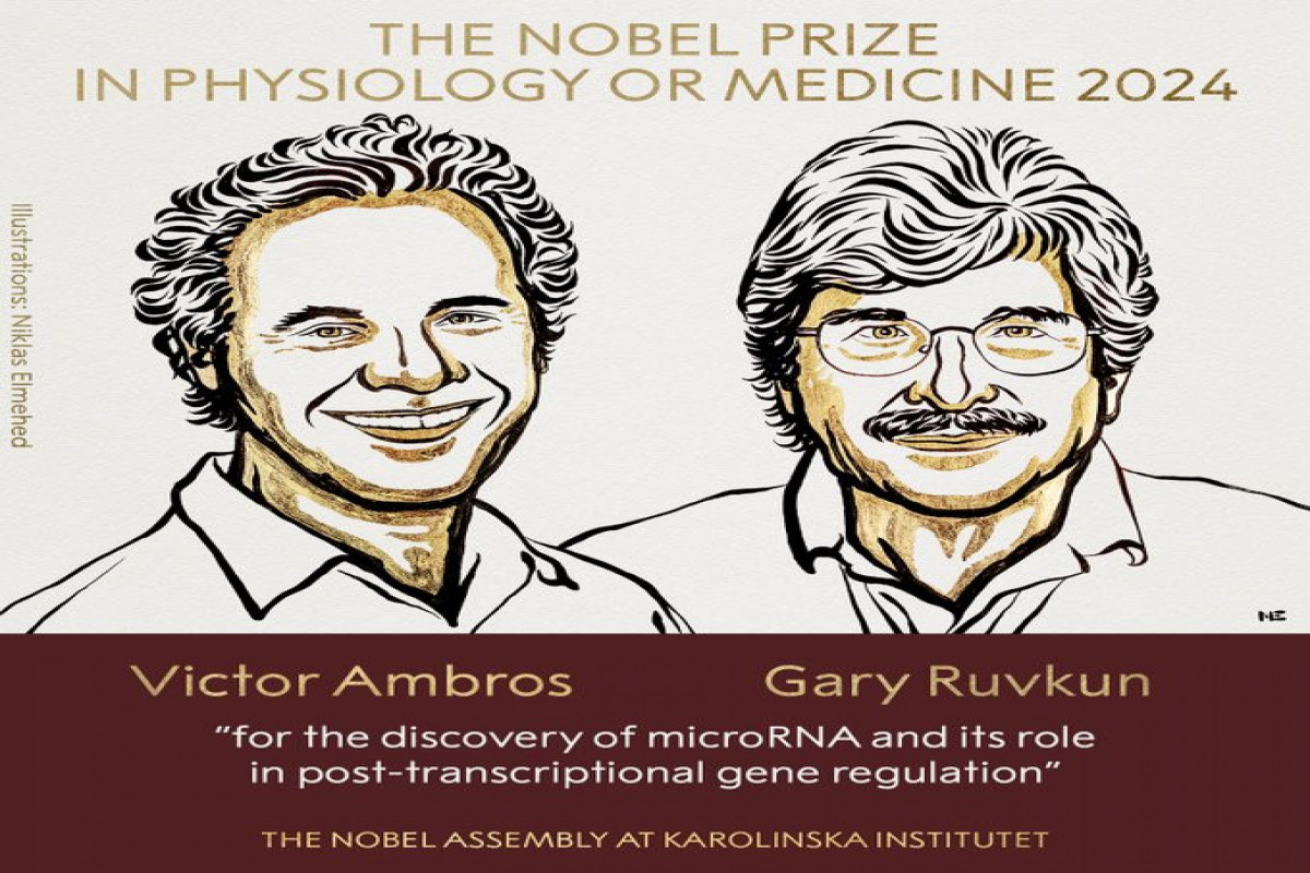 Fiziologiya və ya tibb üzrə Nobel mükafatı laureatlarının adları açıqlanıb