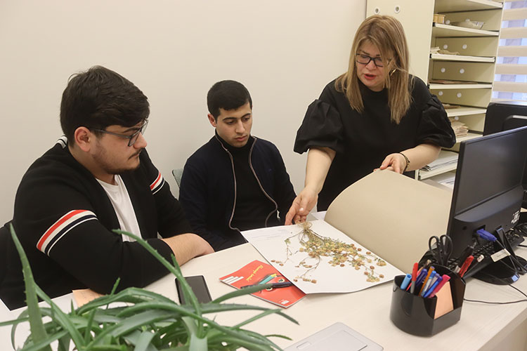 Bakı Dövlət Universitetinin tələbələri Botanika İnstitutunda təcrübə keçiblər