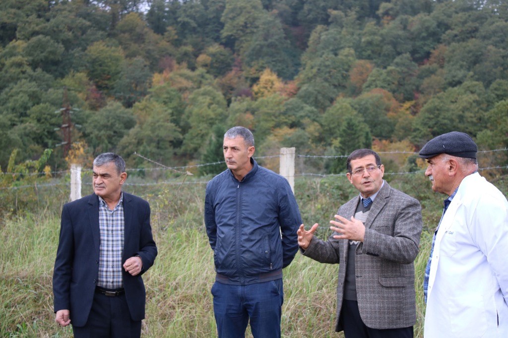 Lənkəran Regional Elmi Mərkəzində yeni çay əkini həyata keçiriləcək