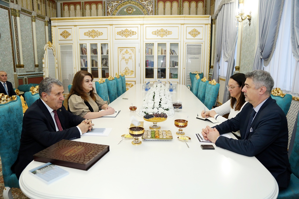 Президент НАНА встретился с послом Венгрии в Азербайджане