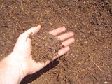 Researches carried out in the direction of to increase the productivity of eroded gray-brown soils
