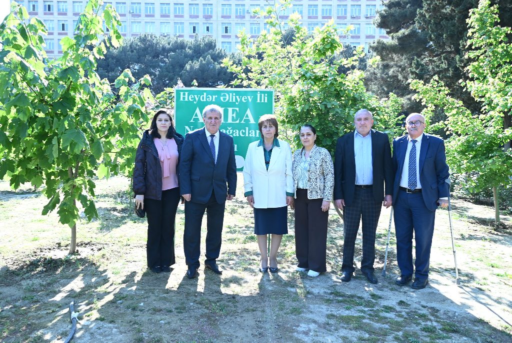 Nadir ağaclar parkının ərazisi müxtəlif növ gül kolları ilə zənginləşdirilib