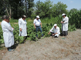 Scientists of the Institute of Soil Elm and Agrochemistry held workshop for farmers in Ujar region