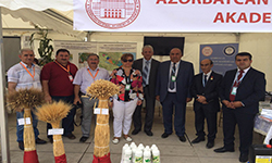 Republican exhibition “Days of Field Gabala-2015” opened