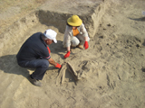 Археологическая экспедиция выполнила задачи, поставленные перед ней в 2015 году