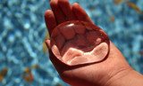 Edible Water Blob Could Replace Plastic Water Bottles