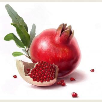 Studied the genetic diversity of pomegranate