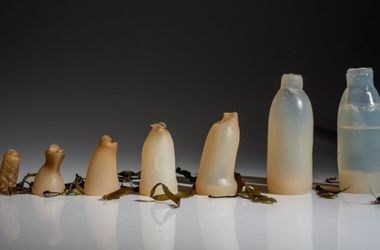 В Исландии придумали "зеленую" альтернативу пластику