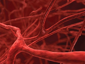 Toxumalarda damarların genişlənməsini stimullaşdıran konstruksiyalar yaradılıb
