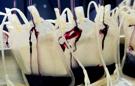 Japan will launch mass production of artificial blood