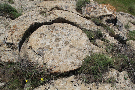 In Nakhchivan first discovered rock signs