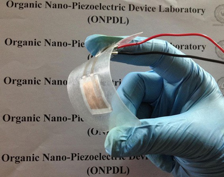 Biocompatible piezoelectric generator is made from fish scales
