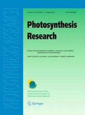Azerbaijani scientist’s paper ranked the 1st place on the official journal of International Photosynthesis Society