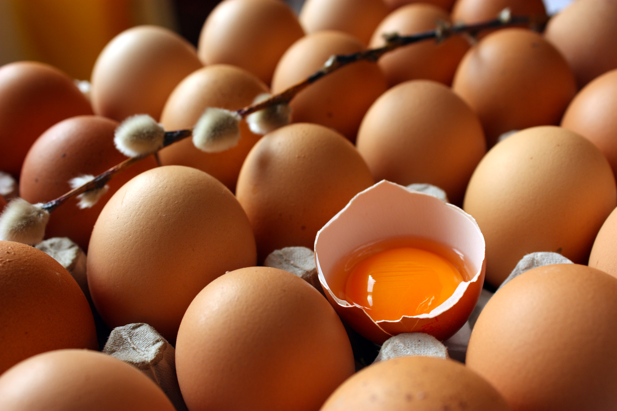 Recycled eggshells can be used for next-gen data storage