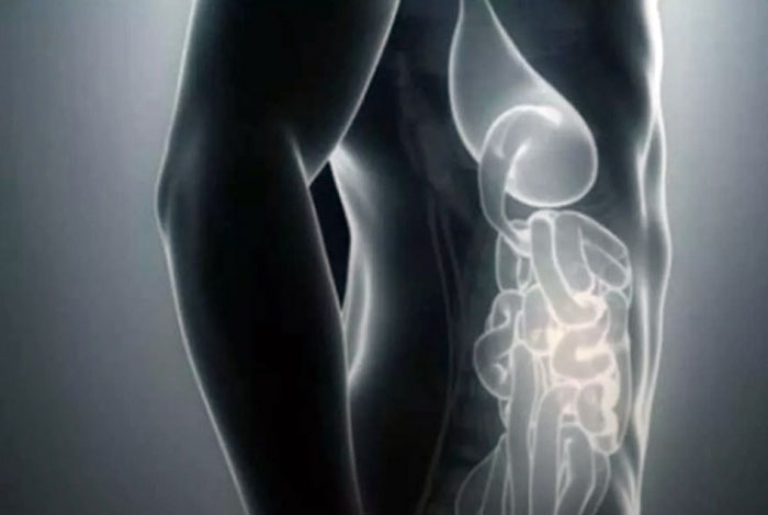 New camera can see through human body