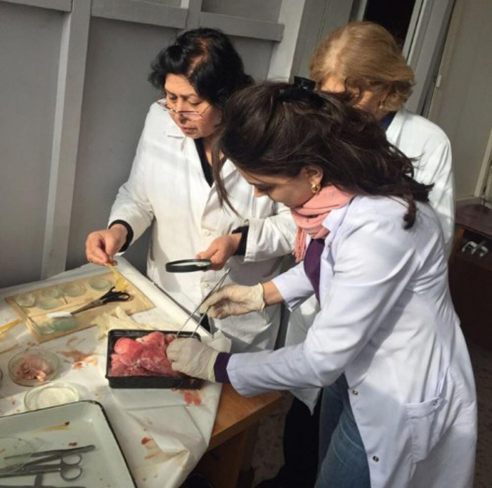 Employees of the Institute of Zoology have collected rich parasitological materials