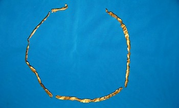 Found the oldest gold ornamental jewelry in Nakhchivan