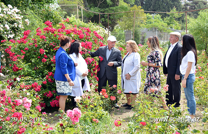 В Центральном ботаническом саду состоялось открытие выставки роз