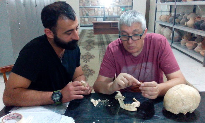 Будет проведен анализ ДНК останков людей периода неолита, обнаруженных в Азербайджане
