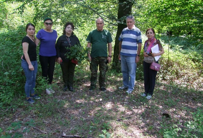 The current state of a natural and cultural dendroflora of Azerbaijan northwest regions investigated