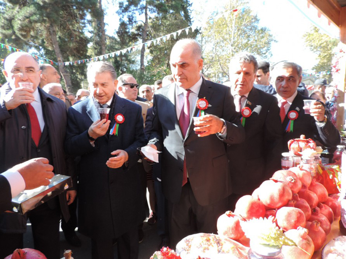 Delegation of ANAS attends XIII Pomegranate Festival in Goychay
