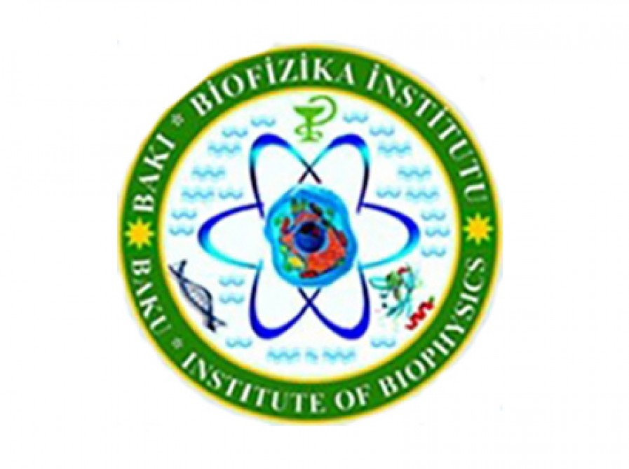 Институт биофизики Академии наук будет сотрудничать с НИИ гематологии и трансфузиологии
