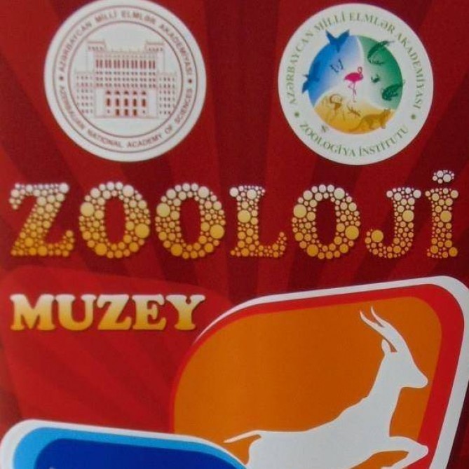 Zooloji Muzeydə məktəblilər üçün “açıq qapı” günü təşkil olunub