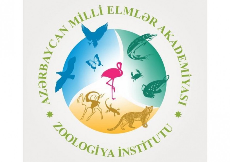 Мультидисциплинарные исследования проводятся в Институте зоологии