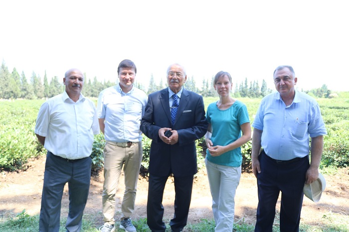В Ленкорани состоялось мероприятие «Потенциал развития чаеводства и цитрусоводства в Азербайджане»