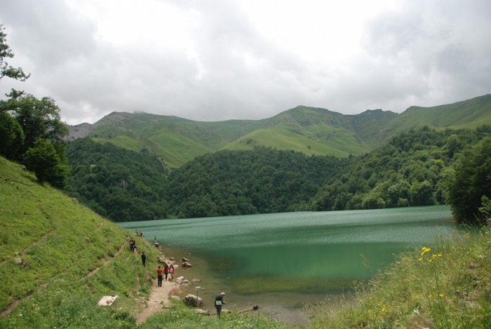 Employees of the Institute of Zoology have been on an expedition at Goygol National Park