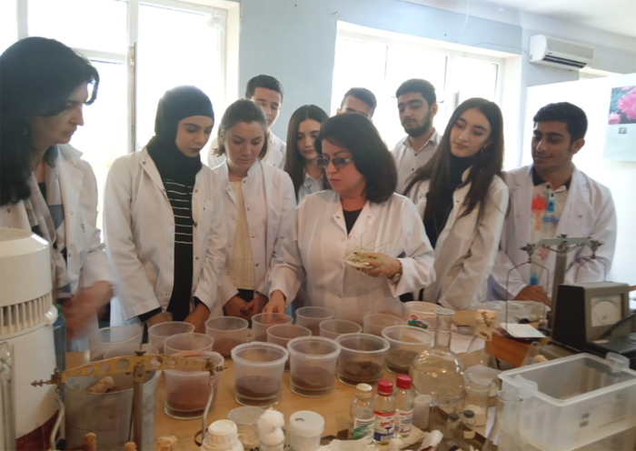 Студенты ознакомились с исследованиями, проводимыми в  Институте микробиологии