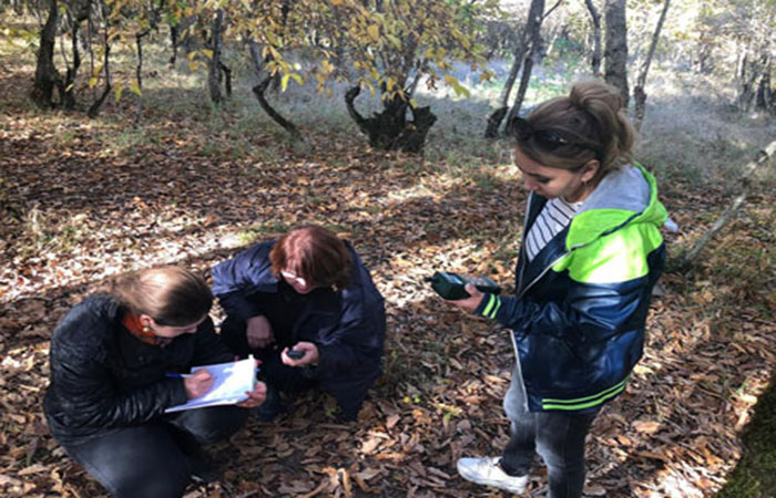 Employees of ANAS Institute of Botany carried out phenological research in Shaki