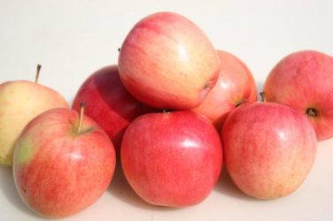 Ученые вывели сорт яблок, которые остаются свежими целый год