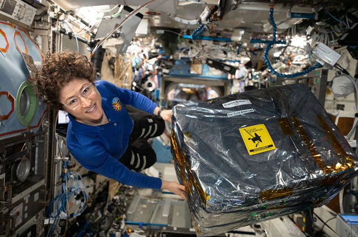 Amerikalı astronavt qadın orbitdə fasiləsiz qalma rekordunu yeniləyib