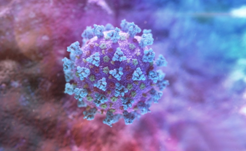 Created an artificial virus blocking coronavirus infections