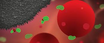 Graphite nanoplates on implants can prevent infection