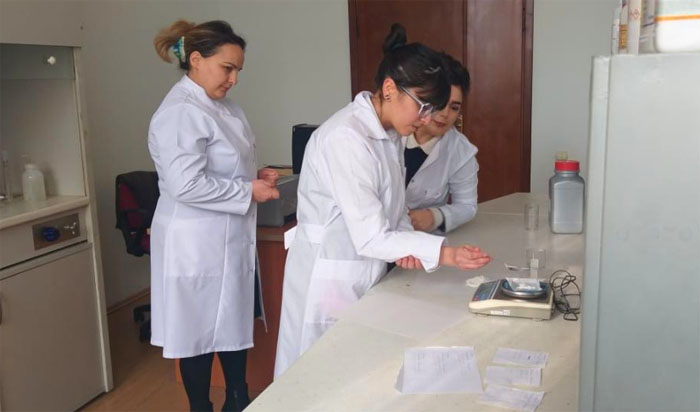 Naxçıvan Muxtar Respublikasının mineral xammalı əsasında praktiki əhəmiyyətli seolitlər sintez olunub