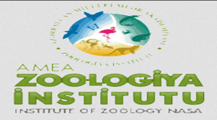 Zoologiya İnstitutunun əməkdaşları beynəlxalq vebinarlarda iştirak ediblər