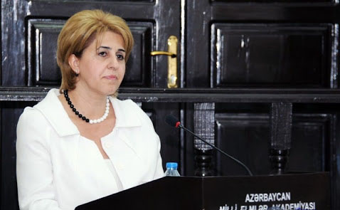 Academician Irada Huseynova: “Thesis and writing of scientific papers are under full control”