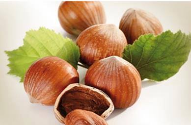 Employees of SRSC obtained bioextract from hazelnut shell