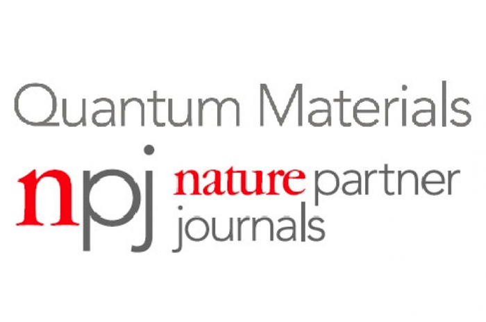 The article of the scientists of the Institute of Physics was published in an international journal with a high impact factor