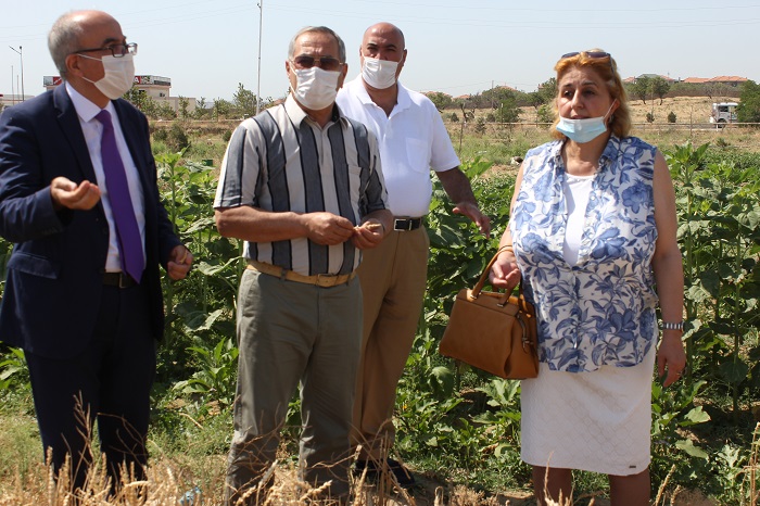 Inspection of the experimental field of the Institute of Dendrology in the village of Saray