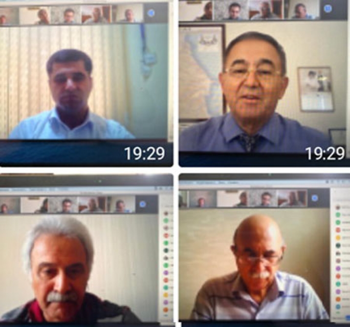The online meeting of the Academic Council for Economic Sciences